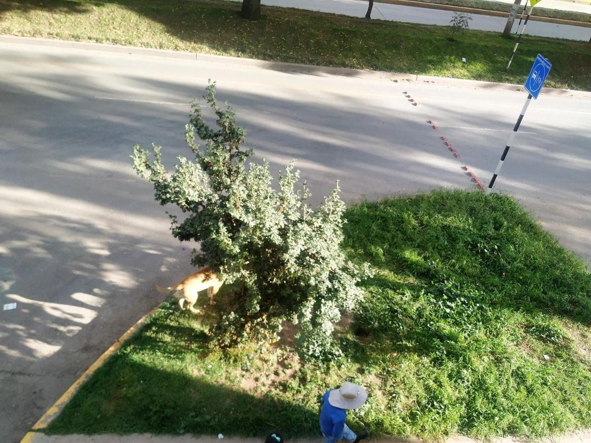 Las Dalias كوسكو المظهر الخارجي الصورة